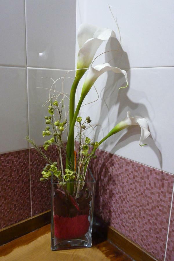 Apartamentos La Condesa Valmeo Екстер'єр фото